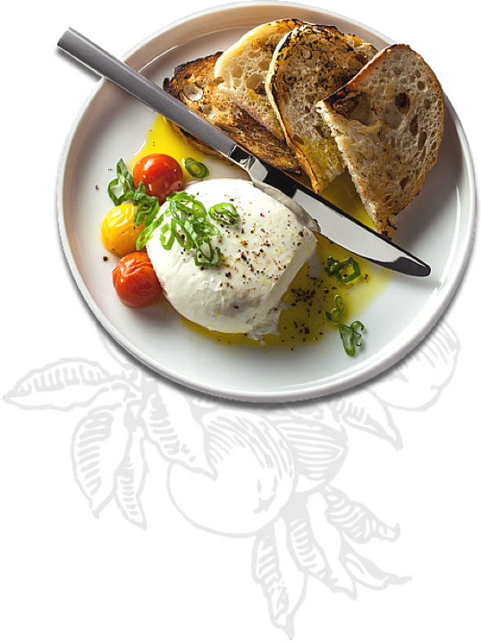 dish